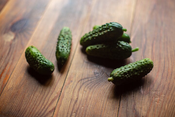 Ripe fresh healthy diet vegetarian food with vitamins. Green cucumbers lie on a wooden surface. Harvesting season.