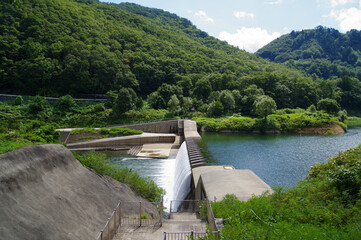 Fototapeta premium 湖にある貯砂ダムの錦秋湖大滝