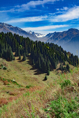 landscape in the mountains