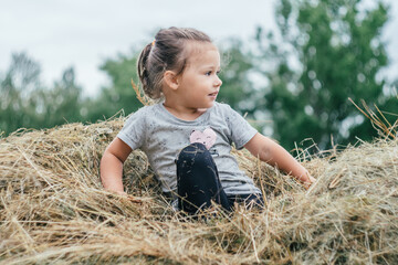 Naklejka na ściany i meble Little girl 3-4 years sits in hay stack and smiles, against background of trees