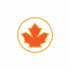 Maple leaf vector illustration design template