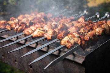 Grilled meat, delicious mutton kebab. The Gourmet holiday was a success.