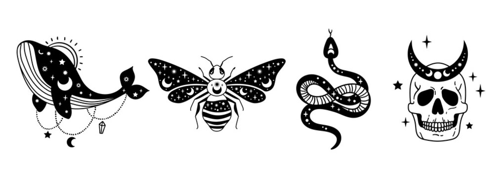 Mystical halloween bundle - celestial snake, skull, whale and bee, moon and stars isolated cliparts, space esoteric stuff, serpent, skeleton, insect black and white outline vector illustration