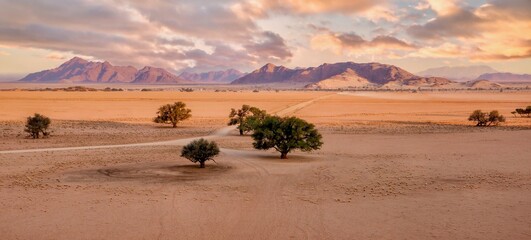 A panoramic Namib Desert landscape scene in Sossusvlei Namibia, with a wide flat valley, a few hardy trees, a long dirt road, mountains and sunset sky in the background.