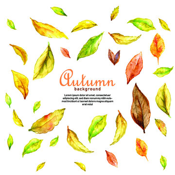 Autumn background with watercolor yellow brown leaves falling