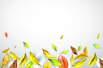 Autumn banner with yellow brown leaves