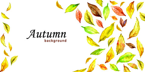 Beautiful autumn leaf banner background