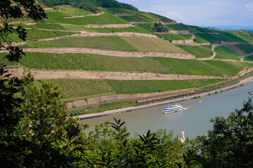 River Rhine and vineyards.  Rheingau wine region on the Rhine hills near the Ehrenfels castle ruins, Germany. Cruise ship and train on the railway along the river.
