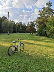 bicycle stands on green grass