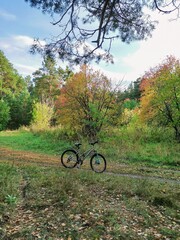 bike in a picturesque forest