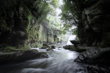 Obraz premium 黄牛の滝