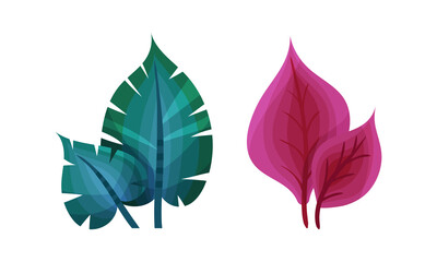 Fototapeta premium Bright Exotic Grass and Fancy Plant with Shaped Leaf Vector Set