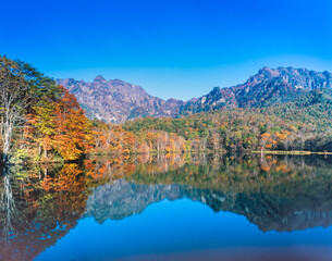 Fototapeta premium 紅葉と鏡池と戸隠連峰