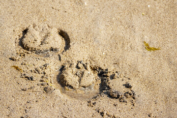 Horse shoe imprint on a warm sand. Equestrian abstract background.