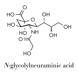 N-glycolylneuraminic acid (Neu5Gc) molecule. Sialic acid found in most mammals but missing in humans. Skeletal formula.