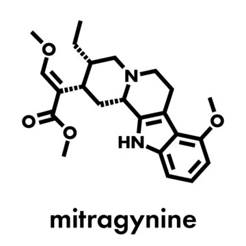 Mitragynine molecule. Herbal alkaloid present in kratom (ketum, Mitragyna speciosa). Skeletal formula.