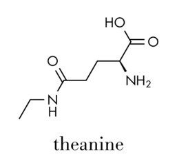Theanine herbal molecule. Constituent of tea prepared from Camellia sinensis. Also taken as nutritional supplement. Skeletal formula.