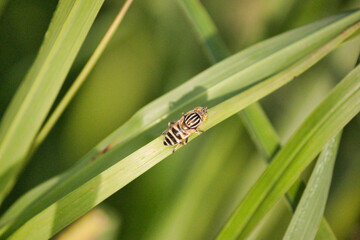 Beautiful things don't ask for attention