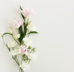 White and pink flowers frame on white  background top view, copy space. Flowers composition template.Floral card.