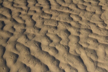 Obraz premium Traces of waves in the sand, close-up, wavy pattern with a beautiful shadow, summer, sunny