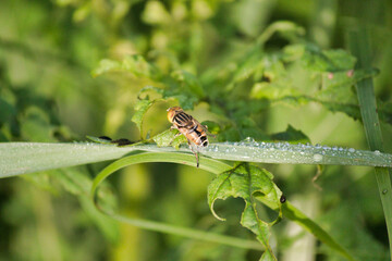 Beautiful things don't ask for attention