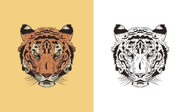 Illustration vector graphic of Tiger head in detailed style.  Vector engraved illustration for logo, label, tattoo or T-shirts, and coloring book