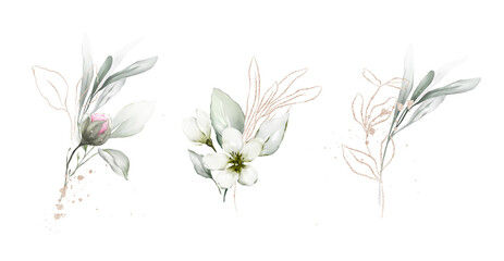 Plant compositions with light leaves and golden elements