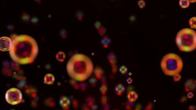 Many rainbow bright soap bubbles fly and burst on a black background. Multicolored round bubbles move in space in slow motion and shimmers in the rays of light. Close up.