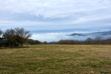 Fototapeta na wymiar Green meadow with the mountains covered by clouds and a tree on one side