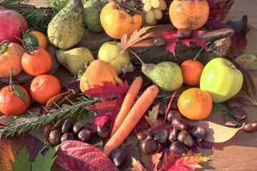 autumn still life with fruits and vegetables - view from above	
