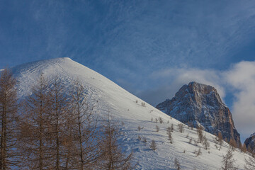 Snow-capped peak surrounded by larch trees with snow shaped by the wind and the Dolomite walls of Monte Pelmo. Fiorentina Valley, Dolomites, Italy