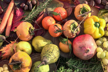 Naklejka na ściany i meble autumn still life with fruits and vegetables - view from above
