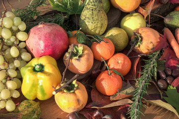 autumn still life with fruits and vegetables - view from above	
