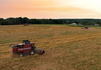 Obraz premium Combine harvester in wheat field on sunset. Agricultural machine during cutting crop. Combines during grain harvesting. Flour and bread production. Silage and hay harvesting in farmers country.