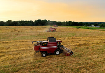 Fototapeta premium Combine harvester working in wheat field. Harvesting machine during cutting crop in a farmland. Aerial view of Combines during grain harvesting. Flour and bread production. Grain market in world.