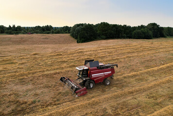 Obraz premium Combine harvester working in wheat field. Harvesting machine during cutting crop in a farmland. Aerial view of Combines during grain harvesting. Flour and bread production. Grain market in world.