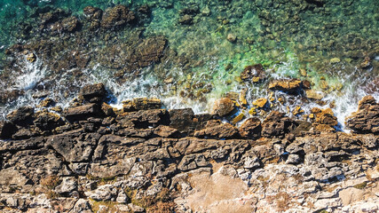 fish on the beach