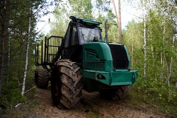 Fototapeta premium Crane forwarder machine during clearing of forested land. Wheeled harvester transports raw timber from felling site out. Harvesters, Forest Logging machines. Forestry forwarder on deforestation.