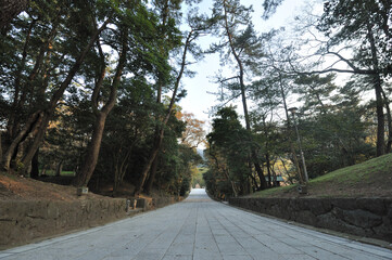 出雲大社参道　島根県