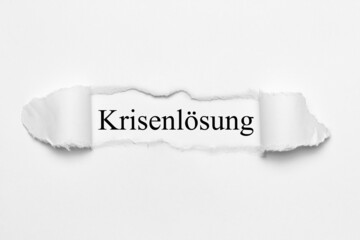 Obraz premium Krisenlösung 