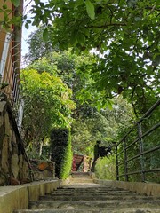 stairs in the garden