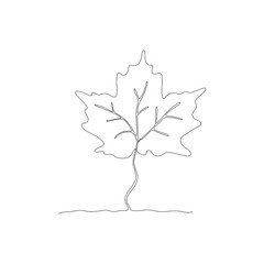 Vector one line art. Maple leaf isolated on white background.