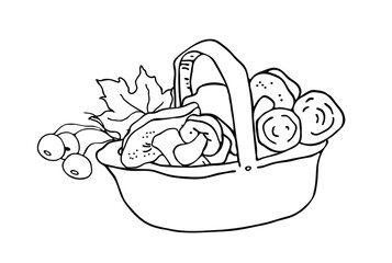 A basket with wild mushrooms and berries. Hand draw. Vector on a white background.