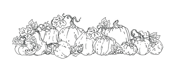 Pumpkin, pumpkin leaves.  Autumn decorative design, Halloween, Thanksgiving day. For cookbook, recipes, menu.