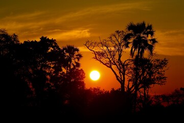 Coucher de soleil en Afrique du Sud
