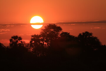 Coucher de soleil en Afrique du Sud