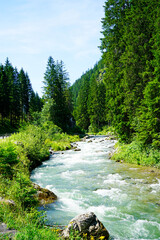 Fototapeta na wymiar River in Tyrol, Austria near Lermoos. Landscape with a stream, surrounded by trees.