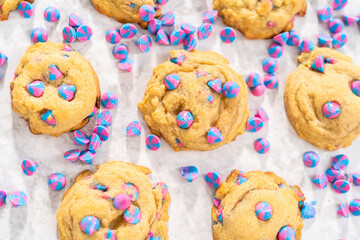 Unicorn chocolate chip cookie