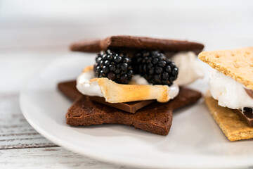 Fruit Smores
