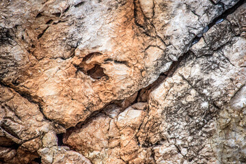 Texture in stone